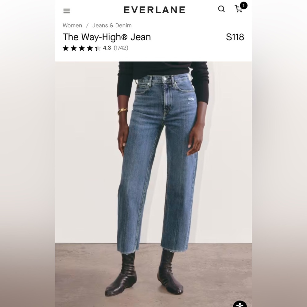 Everlane “The Way High Jean” in Distressed 30L